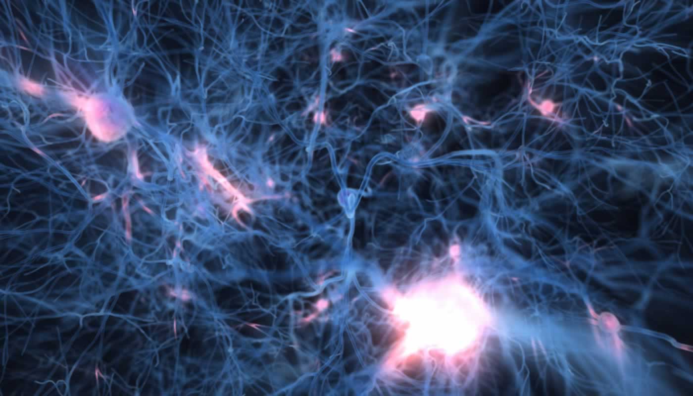 Neuronal Net